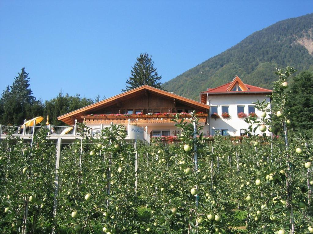 Weihergut Cermes Exterior foto